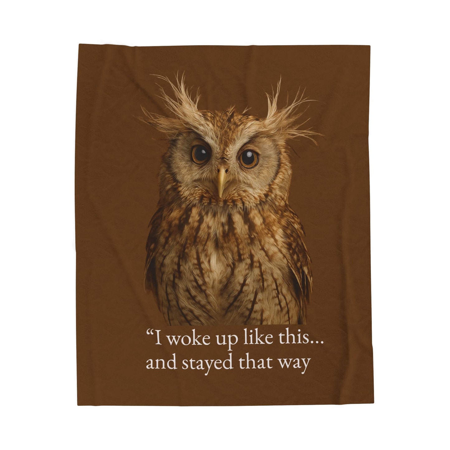17.63 Cozy Owl Velveteen Plush Blanket 50" x 60"